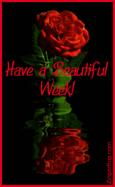 Click to get the codes for this image. This beautiful graphic shows a red rose with reflections in an animated pool. The comment reads: Have a Beautiful Week!