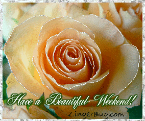 Click to get the codes for this image. This beautiful glitter graphic shows a close-up of a peach colored rose with silver glitter on the tips of each petal. The comment reads: Have a Beautiful Weekend!