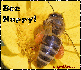 Click to get the codes for this image. Closeup photo of a bee on a flower. Comment reads: Bee Happy!