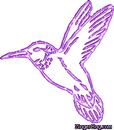 Click to get the codes for this image. Humming Bird Purple Glitter Graphic, Animals, Animals  Birds Free Image, Glitter Graphic, Greeting or Meme for Facebook, Twitter or any forum or blog.