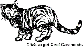 Click to get the codes for this image. Black Cat Glitter Graphic, Animals  Cats, Animals  Cats Free Image, Glitter Graphic, Greeting or Meme for Facebook, Twitter or any forum or blog.