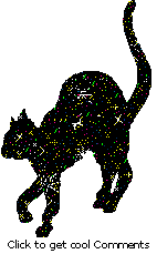 Click to get the codes for this image. Black Glitter Cat Graphic, Animals  Cats, Animals  Cats Free Image, Glitter Graphic, Greeting or Meme for Facebook, Twitter or any forum or blog.