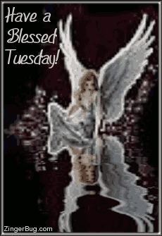 Click to get the codes for this image. This beautiful glitter graphic shows an angel sitting at the edge of an animated reflecting pool. The comment reads: Have a Blessed Tuesday!