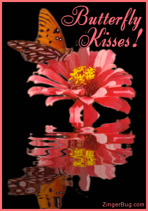 Click to get the codes for this image. This beautiful graphic shows a butterfly on a salmon-pink colored flower reflected in an animated pool. The comment reads: Butterfly Kisses!