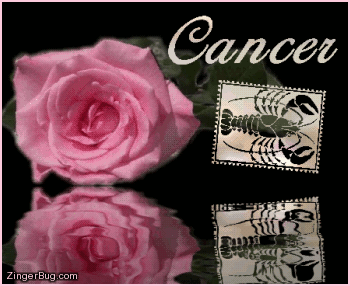 Click to get the codes for this image. This beautiful astrology graphic features a pink rose with animated 3D silver letters reading: Cancer. There is also an animated 3D silver Cancer zodiac symbol. The entire comment is reflected in an animated pool.