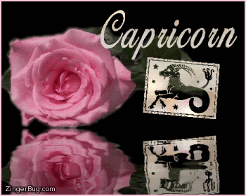 Click to get the codes for this image. This beautiful astrology graphic features a pink rose with animated 3D silver letters reading: Capricorn. There is also an animated 3D silver Capricorn zodiac symbol. The entire comment is reflected in an animated pool.