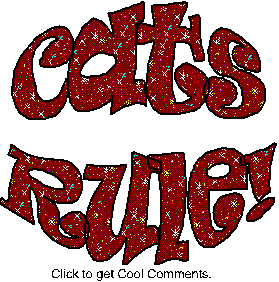 Click to get the codes for this image. Cats Rule Glitter Text, Animals  Cats Free Image, Glitter Graphic, Greeting or Meme for Facebook, Twitter or any forum or blog.
