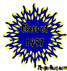 Click to get the codes for this image. Class Of 1987 Navy Starburst Glitter Graphic, Class Of 1987 Free glitter graphic image designed for posting on Facebook, Twitter or any forum or blog.