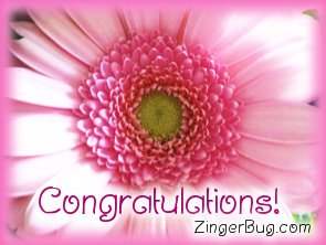 Click to get the codes for this image. Congratulations Pink Flower, Congratulations, Flowers Free Image, Glitter Graphic, Greeting or Meme for Facebook, Twitter or any blog.