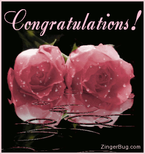 Click to get the codes for this image. This beautiful graphic shows two pink roses covered with raindrops while more rain falls in an animated pool. The comment reads: Congratulations!