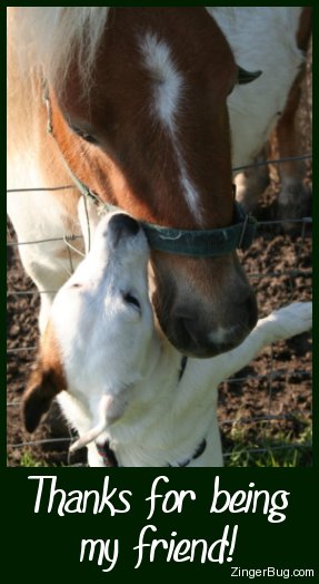 Click to get the codes for this image. Cute photo of a dog and horse nuzzling each other's faces. The comment reads: Thanks for being my Friend!