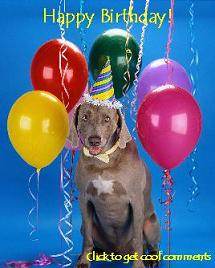 Click to get the codes for this image. Happy Birthday Dog with Balloons, Birthday Animals, Birthday Balloons, Animals  Dogs, Happy Birthday Free Image, Glitter Graphic, Greeting or Meme for Facebook, Twitter or any forum or blog.