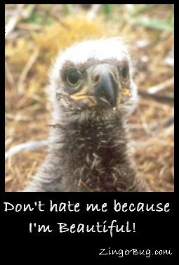 Click to get the codes for this image. Photo of a really ugly eagle chick with the comment: Don't hate me because I'm beautiful!