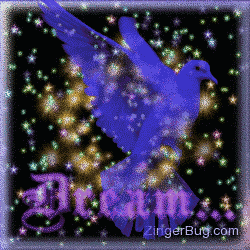 Click to get the codes for this image. Dream Bird Funky Stars Glitter Graphic, Dream, Animals  Birds Free Image, Glitter Graphic, Greeting or Meme for Facebook, Twitter or any forum or blog.