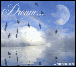Click to get the codes for this image. This graphic shows a sky with a rainbow, a moon and a flock of birds reflected in an animated ocean. The comment reads: Dream...