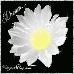 Click to get the codes for this image. This beautiful glitter graphic is a white daisy with silver glitter around the tips of the petals. The comment reads: Dream...