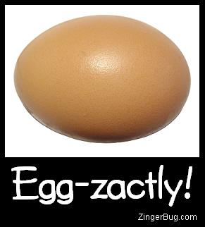 Click to get the codes for this image. Egg Zactly Joke, Funny Stuff  Jokes Free Image, Glitter Graphic, Greeting or Meme for any forum, website or blog.