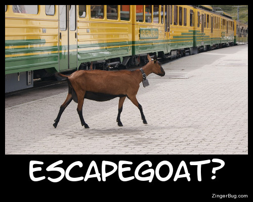 Click to get the codes for this image. Escapegoat Funny Meme, Animals  Horses  Hooved Creatures, Funny Stuff  Jokes Free Image, Glitter Graphic, Greeting or Meme for Facebook, Twitter or any forum or blog.