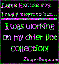 Click to get the codes for this image. This funny glitter graphic reads: Lame Excuse Number 29 I really meant to, but... I was working on my drier lint collection!