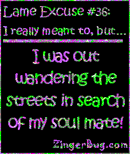 Click to get the codes for this image. This funny glitter graphic reads: Lame Excuse Number 36 I really meant to, but... I was out wandering the streets in search of my soul mate!
