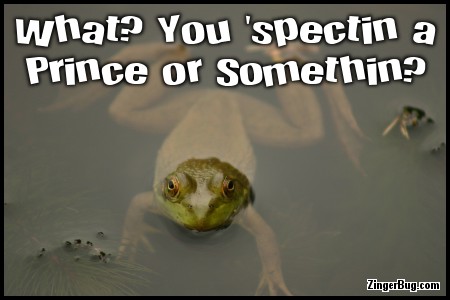 Click to get the codes for this image. Expecting A Prince Funny Frog Quote, Animal, Funny Stuff  Jokes, Popular Favorites Glitter Graphic, Comment, Meme, GIF or Greeting