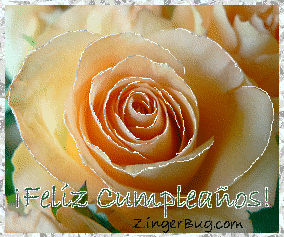 Click to get the codes for this image. This beautiful glitter graphic shows a close-up of a peach colored rose with silver glitter on the tips of each petal. The comment reads: ¡Feliz Cumpleaños! Which means Happy Birthday in Spanish.