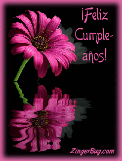 Click to get the codes for this image. Feliz Cumpleanos Pink Reflecting Flower, Feliz Cumpleanos Spanish, Happy Birthday, Happy Birthday, Birthday Flowers Free Image, Glitter Graphic, Greeting or Meme for Facebook, Twitter or any forum or blog.