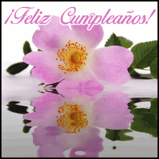 Click to get the codes for this image. Feliz Cumplea�os Reflecting Pink Flower, Feliz Cumpleanos Spanish, Happy Birthday, Spanish, Popular Favorites Free Image, Glitter Graphic, Greeting or Meme for Facebook, Twitter or any forum or blog.