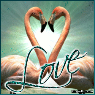 Click to get the codes for this image. This beautiful glitter graphic features 2 flamingos on a beach with their necks forming  a heart. There is a sparkling sun in the background and the comment reads: Love