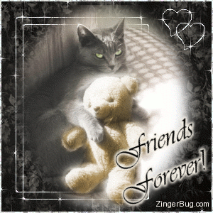 Click to get the codes for this image. This beautiful glitter graphic shows a cat hugging a teddy bear lying in a sunbeam. The comment reads: Friends Forever!