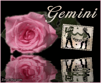 Click to get the codes for this image. This beautiful astrology graphic features a pink rose with animated 3D silver letters reading: Gemini. There is also an animated 3D silver Gemini zodiac symbol. The entire comment is reflected in an animated pool.