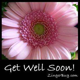 Click to get the codes for this image. Get Well Pink Flower Graphic, Get Well Soon, Flowers Free Image, Glitter Graphic, Greeting or Meme for Facebook, Twitter or any blog.