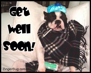 Click to get the codes for this image. Hysterical photo of a dog wrapped in a blanket with a water bottle on its head an a thermometer in its mouth. Comment reads: Get Well Soon!