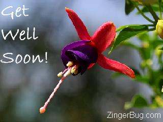 Click to get the codes for this image. Get well flower photo, Get Well Soon, Flowers Free Image, Glitter Graphic, Greeting or Meme for Facebook, Twitter or any blog.