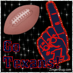 Click to get the codes for this image. Go Texans Glitter Graphic, Sports  NFL Teams Free Image, Glitter Graphic, Greeting or Meme for Facebook, Twitter or any blog.