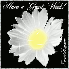 Click to get the codes for this image. This beautiful glitter graphic is a white daisy with silver glitter around the tips of the petals. The comment reads: Have a Great Week!