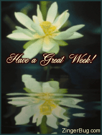 Click to get the codes for this image. This beautiful graphic shows a yellow flower reflected in an animated pool. The comment reads: Have a Great Week!
