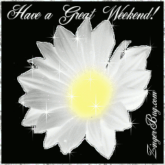 Click to get the codes for this image. This beautiful glitter graphic is a white daisy with silver glitter around the tips of the petals. The comment reads: Have a Great Weekend!