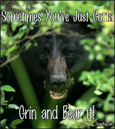 Click to get the codes for this image. Grin And Bear It Bear Photo, Animals  Bears, Encouragement  Cheer Up Free Image, Glitter Graphic, Greeting or Meme for Facebook, Twitter or any forum or blog.