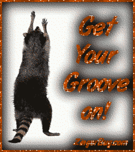 Click to get the codes for this image. Funny animated photo of a dancing racoon. Comment reads: Get your groove on!