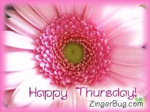 Click to get the codes for this image. Happy Thursday Pink Flower, Happy Thursday, Flowers Free Image, Glitter Graphic, Greeting or Meme for Facebook, Twitter or any forum or blog.