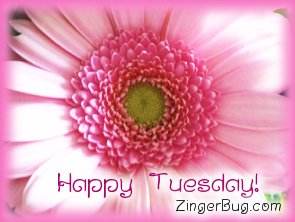 Click to get the codes for this image. Happy Tuesday Pink Flower, Happy Tuesday, Flowers Free Image, Glitter Graphic, Greeting or Meme for Facebook, Twitter or any forum or blog.