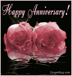 Click to get the codes for this image. This beautiful graphic shows two pink roses covered with raindrops while more rain falls in an animated pool. The comment reads: Happy Anniversary!
