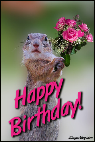 Happy Birthday Cute Squirrel With