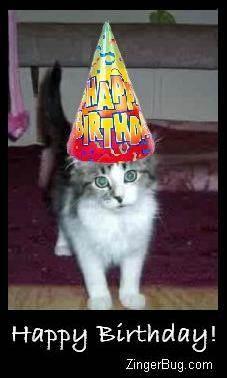 Click to get the codes for this image. Happy Birthday Kitten Photo, Birthday Animals, Animals  Cats, Happy Birthday Free Image, Glitter Graphic, Greeting or Meme for Facebook, Twitter or any forum or blog.