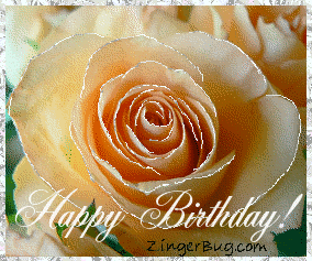 Click to get the codes for this image. This beautiful glitter graphic shows a close-up of a peach colored rose with silver glitter on the tips of each petal. The comment reads: Happy Birthday!