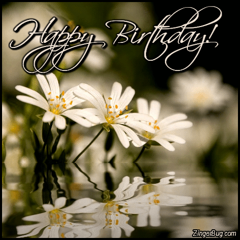 Click to get the codes for this image. Happy Birthday Reflecting Daisies, Happy Birthday, Birthday Ripples and Reflections, Birthday Flowers Free Image, Glitter Graphic, Greeting or Meme for Facebook, Twitter or any forum or blog.