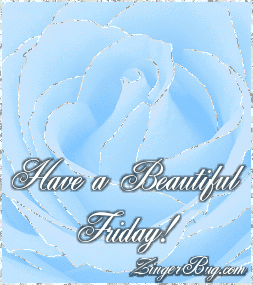 Click to get the codes for this image. This beautiful glitter graphic shows a close-up of a blue rose with silver glitter on the tips of each petal. The comment reads: Have a Beautiful Friday!