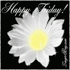 Click to get the codes for this image. This beautiful glitter graphic is a white daisy with silver glitter around the tips of the petals. The comment reads: Happy Friday!