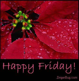 Click to get the codes for this image. Happy Friday Red Flower Glitter Graphic, Happy Friday, Flowers Free Image, Glitter Graphic, Greeting or Meme for Facebook, Twitter or any forum or blog.